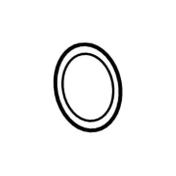 GM 22895247 Master Cylinder Seal