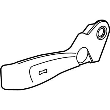 GM 95017925 Outer Finish Panel