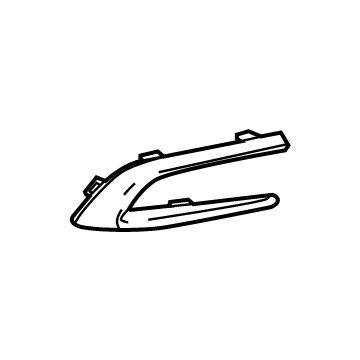 GM 42598771 Outer Molding