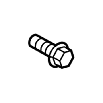 GM 13255510 Molding Bolt