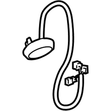 GM 15875000 Courtesy Lamp