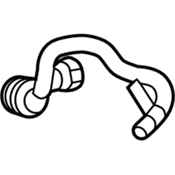 GM 84070046 Vapor Hose