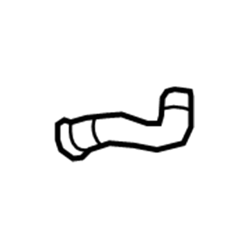 GM 96805200 Lower Hose