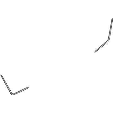 GM 96541148 Seal Strip