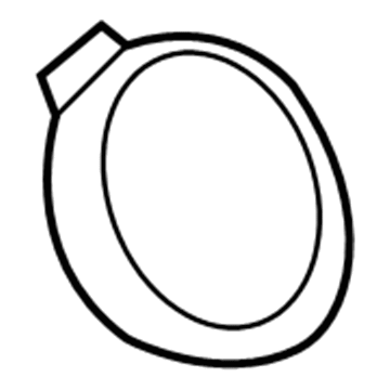 GM 25802076 Tail Lamp Cap