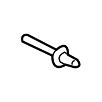 GM 22641917 Handle, Outside Rivet