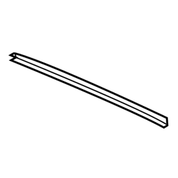 Ford DT1Z-9929796-G Window Molding