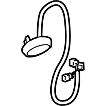 GM 15876516 Lamp Asm-Courtesy