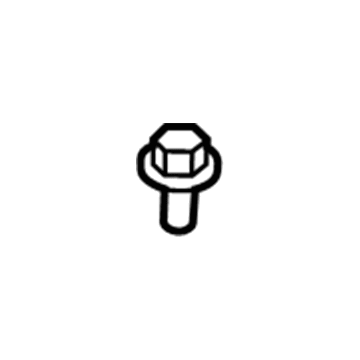 Ford -W715134-S439 Lower Hinge Bolt