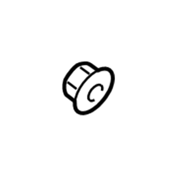 GM 19316173 Protector Nut