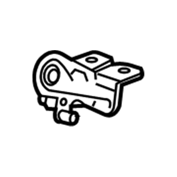 GM 13516116 Hinge