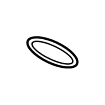 GM 55593191 Oil Filter O-Ring
