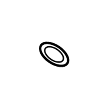GM 55556224 Oil Tube Seal