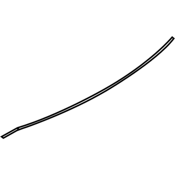 Ford DP5Z-99021A46-B Seal Strip