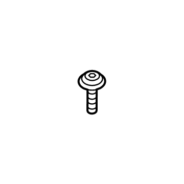 Ford -W716914-S307 Power Mirror Screw