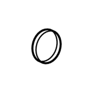 GM 13364695 Outlet Tube Seal