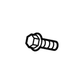 Ford -W505843-S437 Resistor Screw
