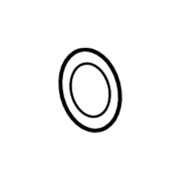 GM 12587397 Water Inlet Seal
