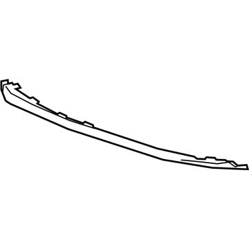 GM 39020288 Lower Molding