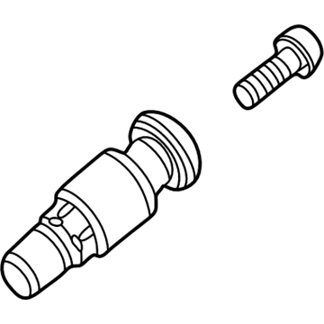 BMW 36-14-6-792-829 Screw-In Valve, Rdc