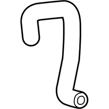 GM 22850205 Canister Hose