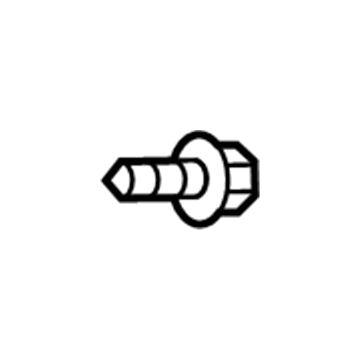 Ford -W790333-S900 Side Retainer Screw