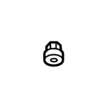GM 11569856 Top Nut