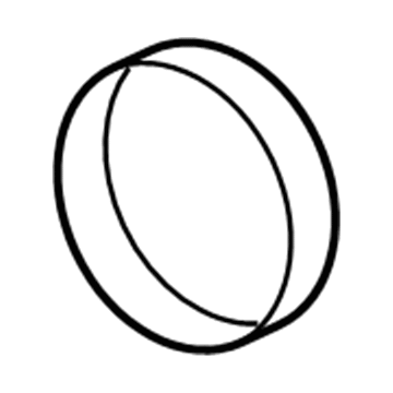 GM 12620318 Water Outlet Seal