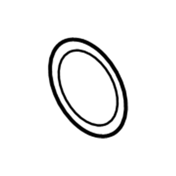 Ford -W715778-S300 Thermostat O-Ring