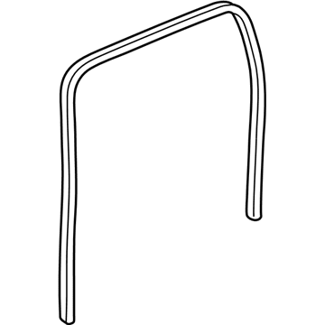 GM 19259359 Weatherstrip On Body