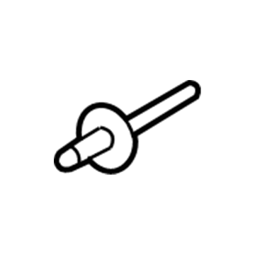 Ford -W714599-S900 Shield Rivet