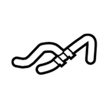GM 20765678 Inlet Hose