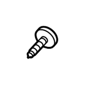 Ford -W704874-S439 Pad Screw