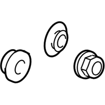 GM 89019139 Shroud Hardware Kit