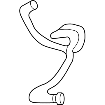 GM 42487018 Center Hose