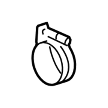 GM 19333216 Cooler Pump Clamp