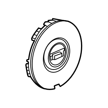 GM 85002878 Center Cap