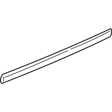 GM 10265342 Body Side Molding