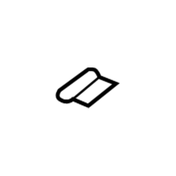 GM 96323476 Door Weatherstrip Clip