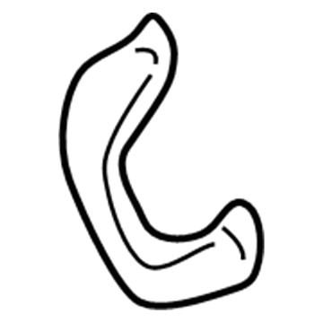 Ford 2C5Z-7831406-AAA Assist Strap