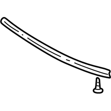 GM 25925190 Seal Asm-Hood Front