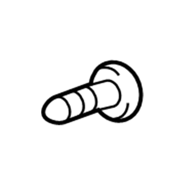 GM 42529554 Lamp Cover Bolt
