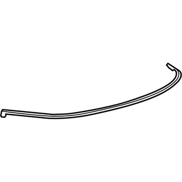 Lexus 64463-53011 Weatherstrip, Luggage Compartment Door