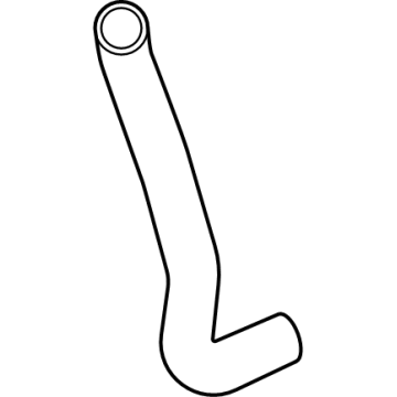 Honda 19502-66V-A00 HOSE, WATER (LOWER)