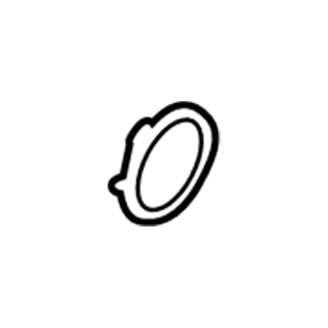 GM 96541651 Escutcheon, Front Side Door Pull Handle