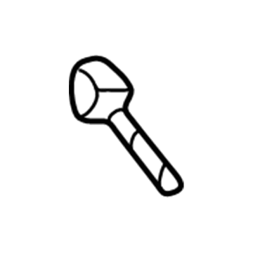 GM 15192148 Nozzle