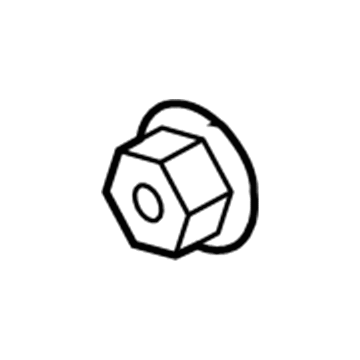 GM 11609280 Power Booster Nut