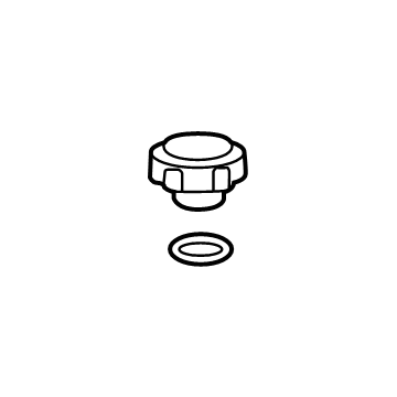 GM 13544913 Cap