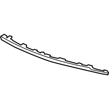 GM 20982402 Molding Strip