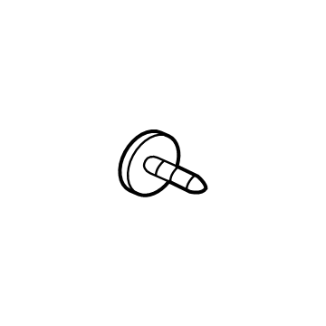 GM 11603070 Applique Panel Bolt